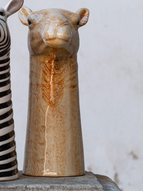 cammello