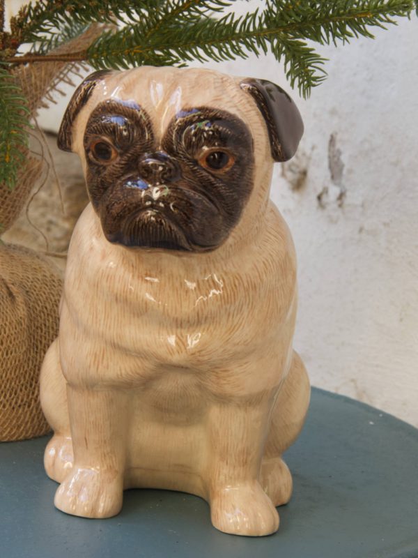carlino