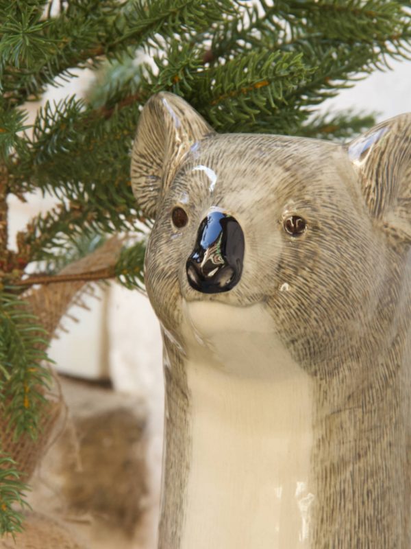 koala