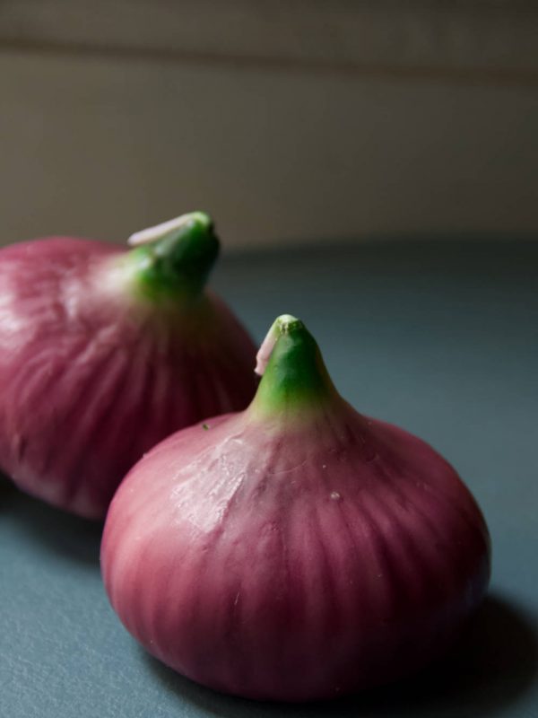 cipolla