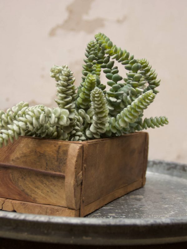 cassa legno