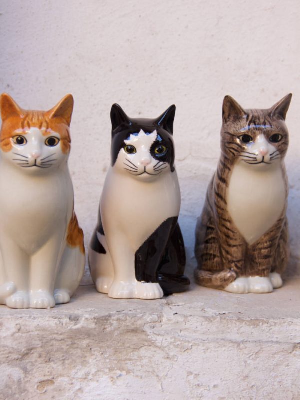 gatto