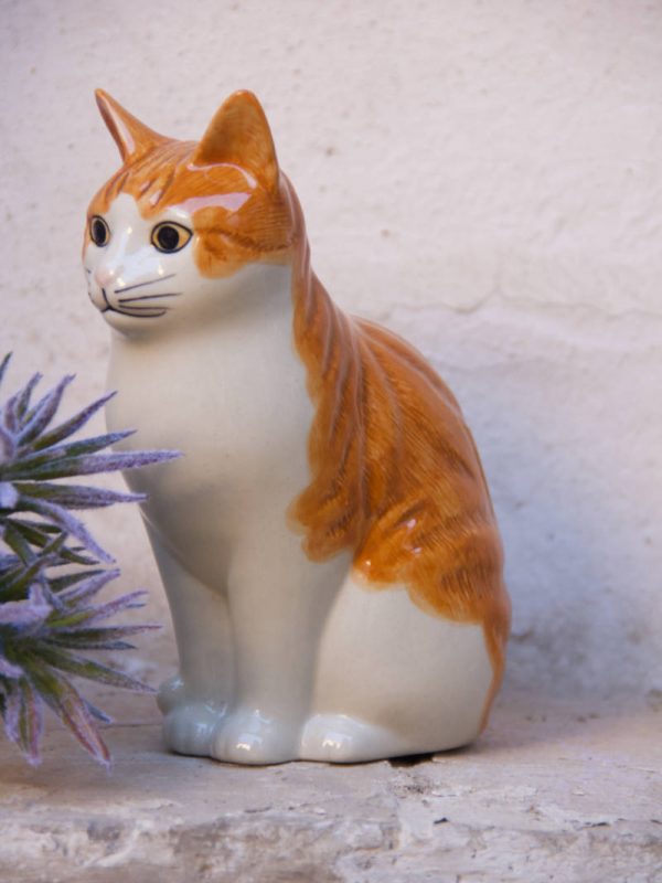 gatto